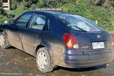 A very dirty car.